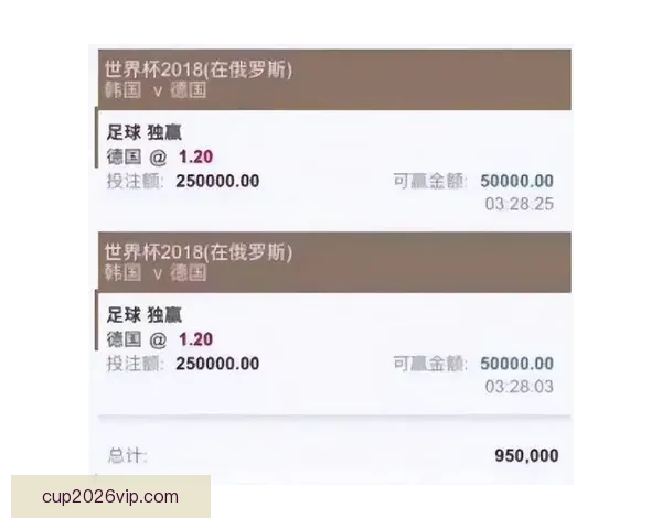 围绕世界杯竞猜投注平台打造安全稳定高效娱乐新体验平台发展新趋势