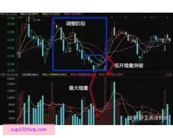 世界杯跟单策略全解析 玩转投注技巧提升收益 轻松把握赛事机会
