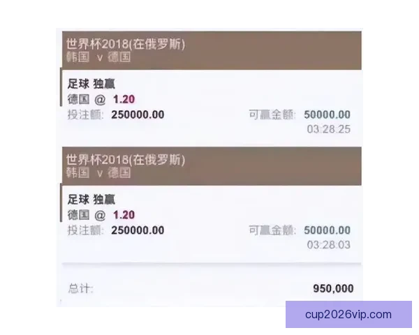 2026世界杯竞猜全攻略精准分析投注技巧与冷门趋势深度解读版